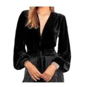 Ramy Brook Jaxon Velvet Long Sleeve Crop Top Blouse Black Medium NWT